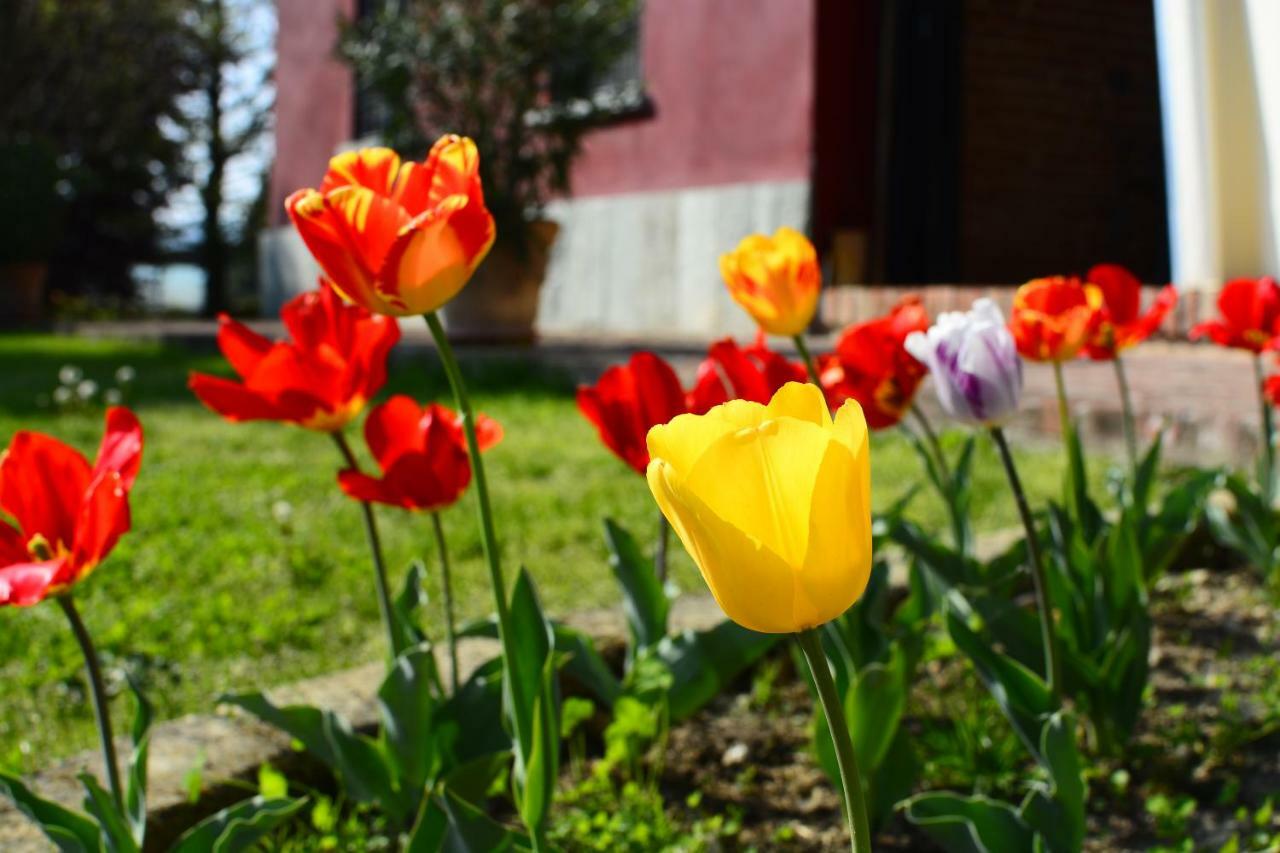 Agriturismo Tenuta Polledro Asti Zewnętrze zdjęcie