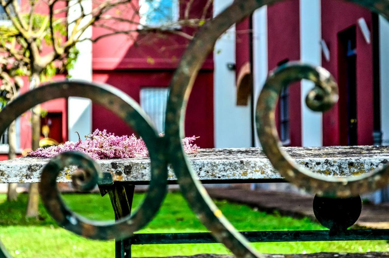 Agriturismo Tenuta Polledro Asti Zewnętrze zdjęcie